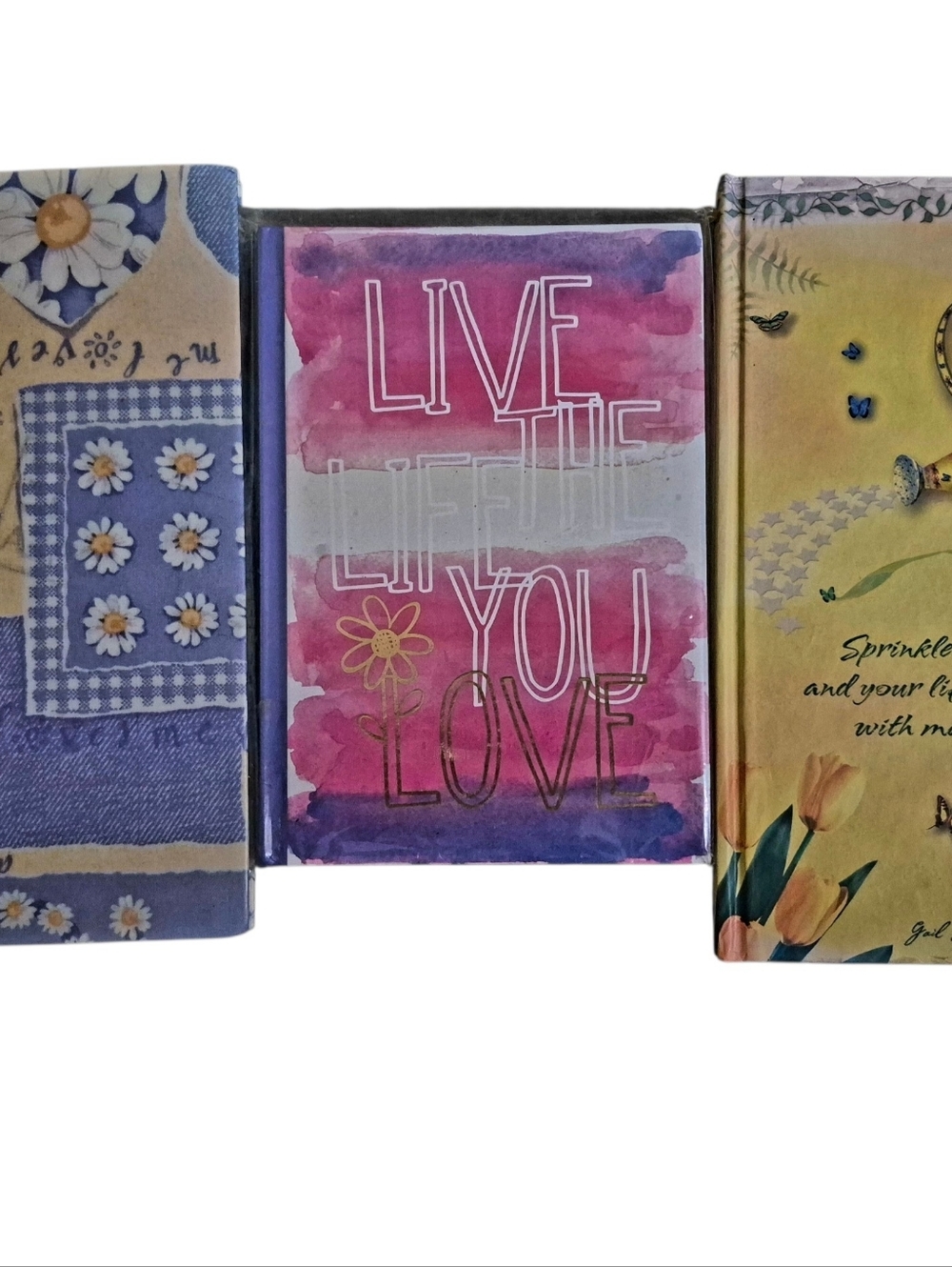 Three writing journals with lined pages. New